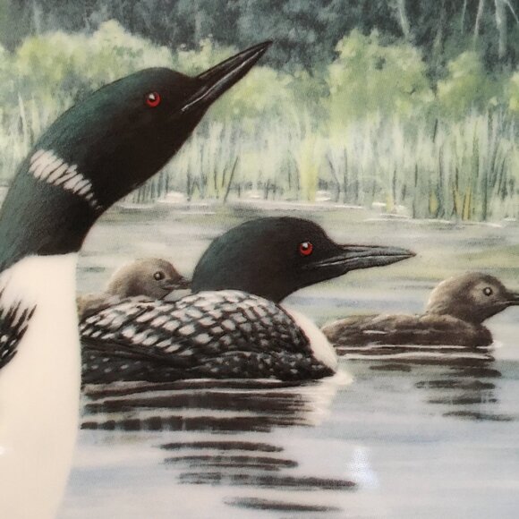 2/$40 Voice of the North Decorative Plate 'Regal Wings' Don Li-Leger - Picture 2 of 5